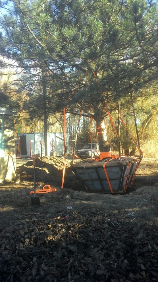 Обложка проекта: Посадка крупномеров.