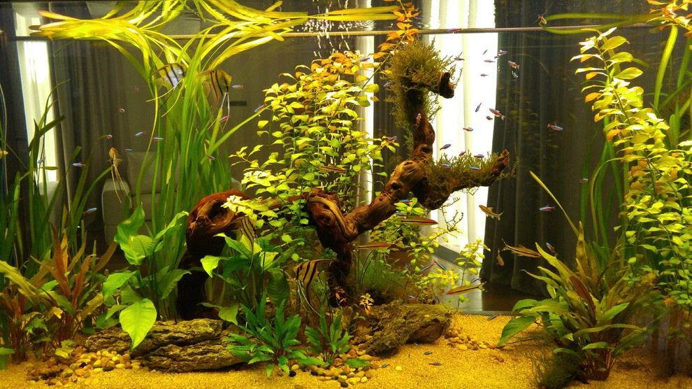 Миллениум-парк