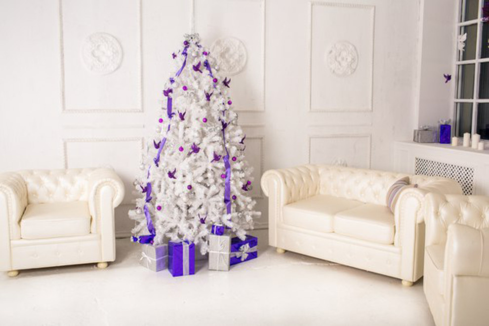 Интерьерная фотостудия "Kosmos"