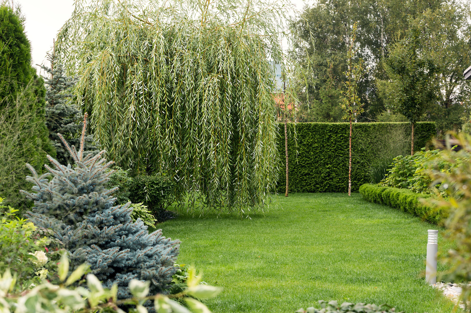 Фотосъёмка сада (к/п Светлогорье)