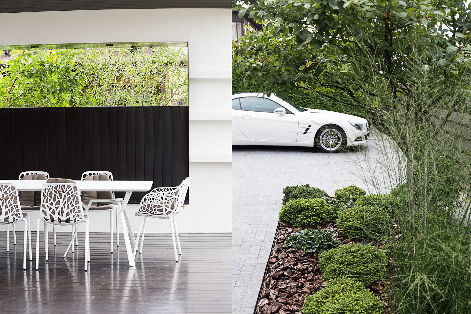 Фотосъёмка сада (к/п Светлогорье)