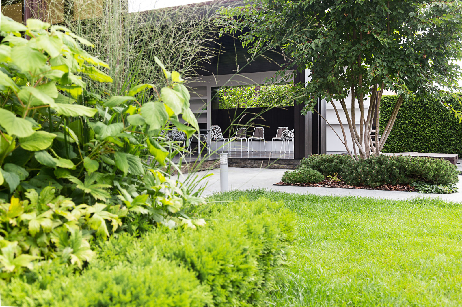 Фотосъёмка сада (к/п Светлогорье)