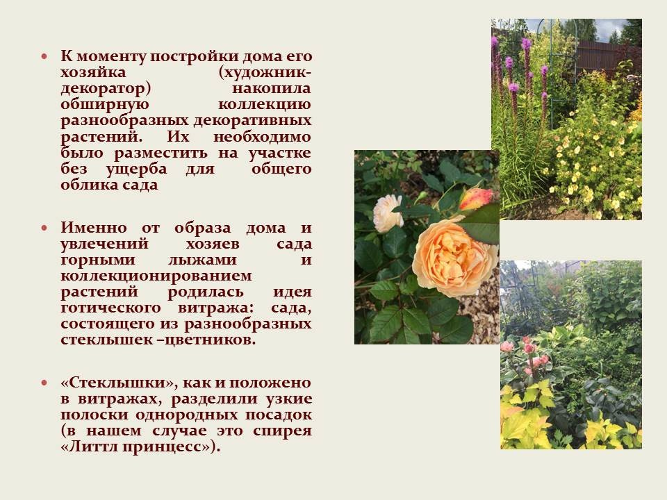 "Витраж"