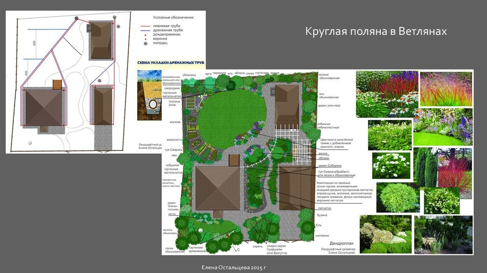 "Круглая поляна в Ветлянах"