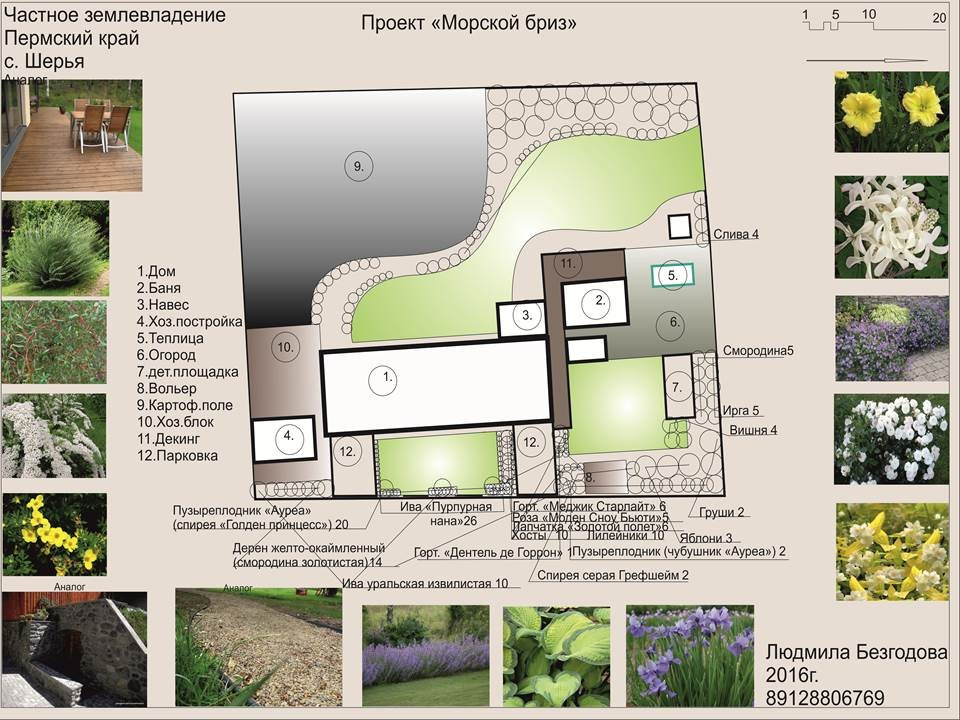 "Морской бриз"