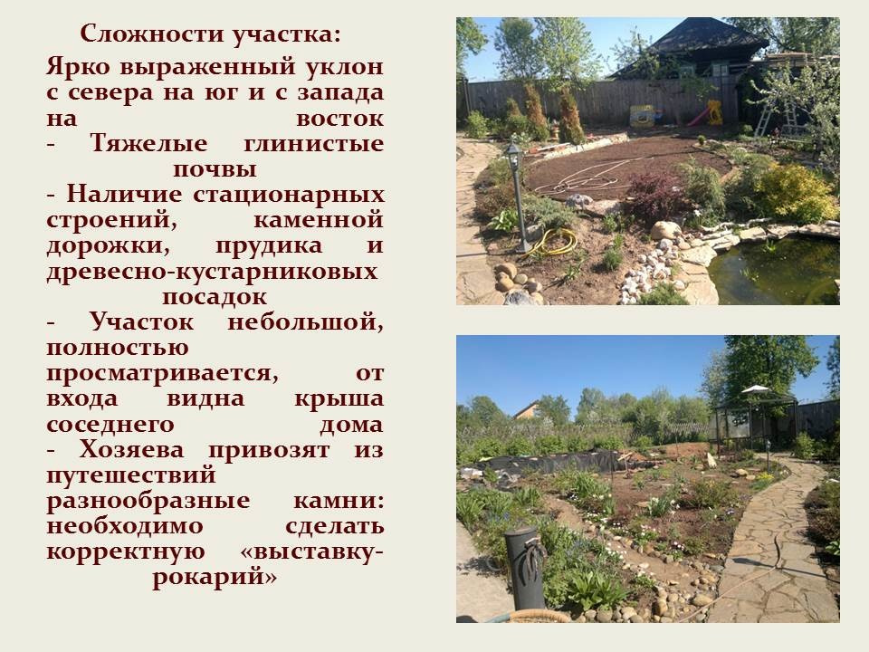 "Карамельный сад"