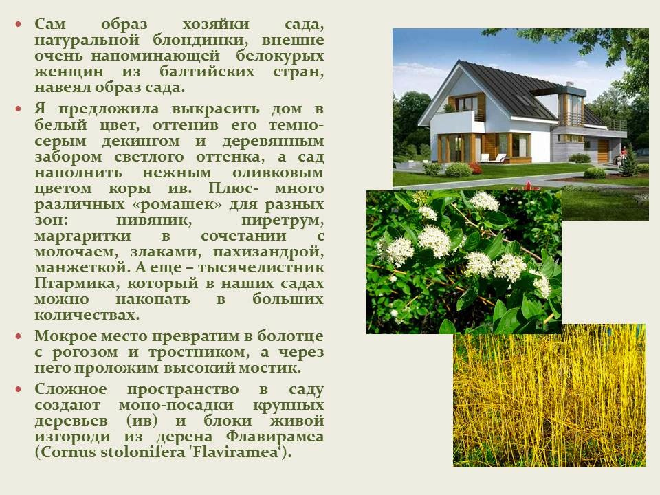 Оливковый