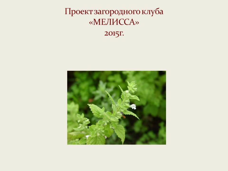 Загородный клуб "Мелисса"