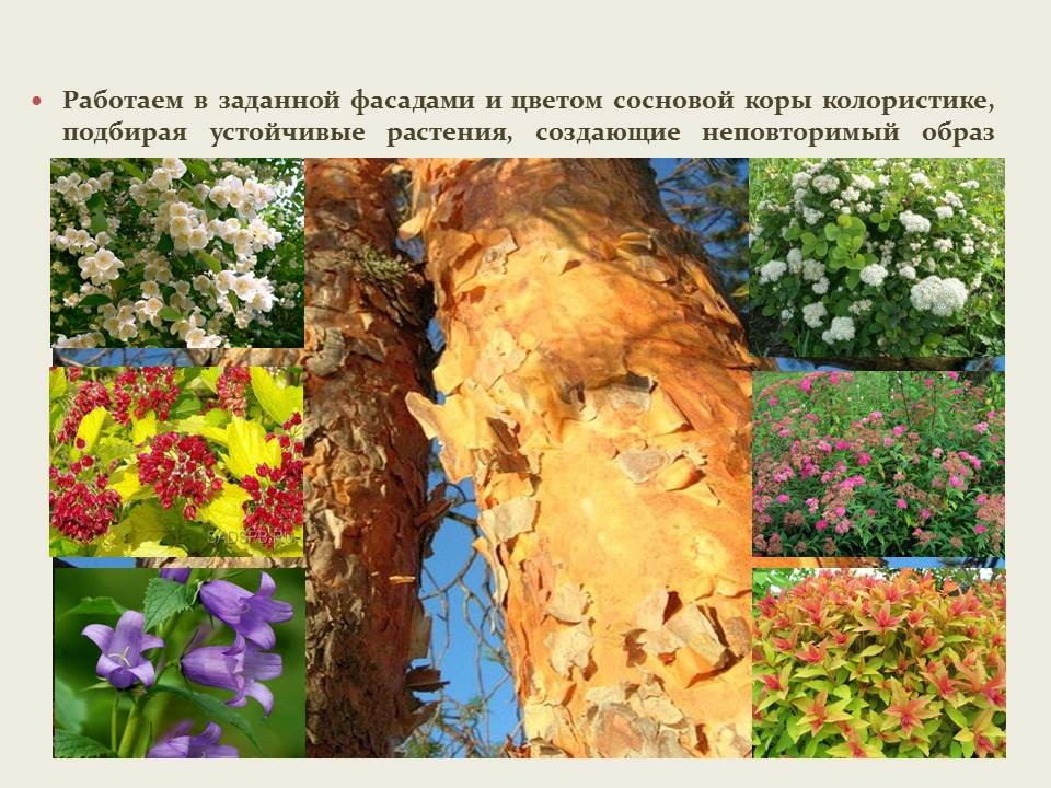 Загородный клуб "Мелисса"