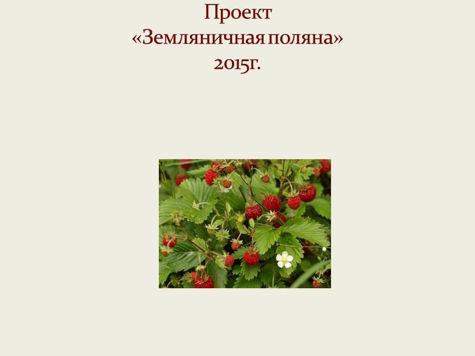 Земляничная поляна