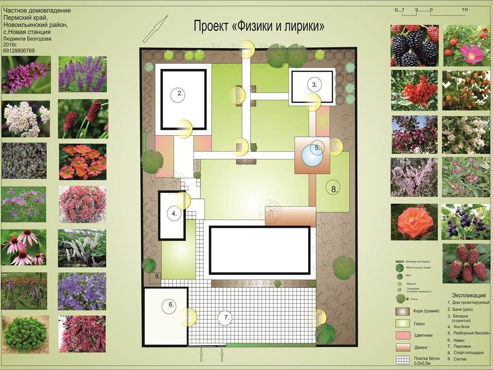 Земляничная поляна