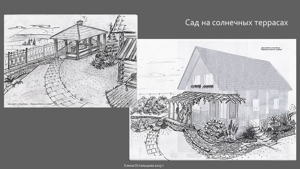 "Сад на солнечных террасах"