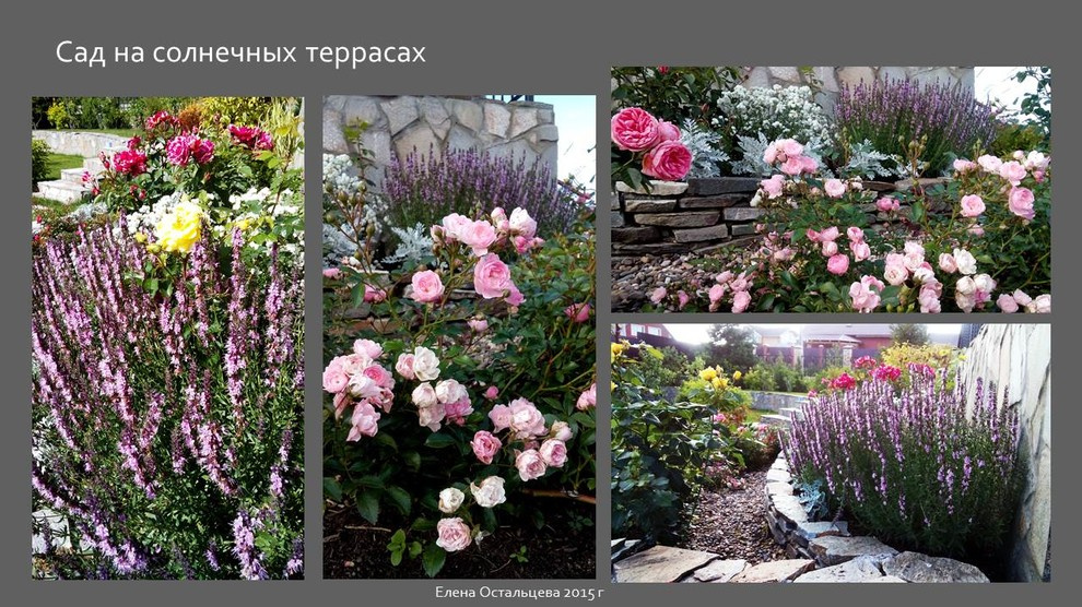 "Сад на солнечных террасах"