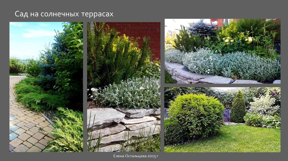 "Сад на солнечных террасах"