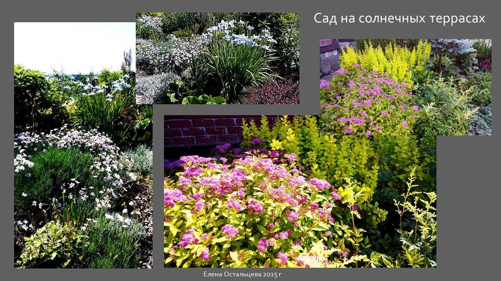 "Сад на солнечных террасах"