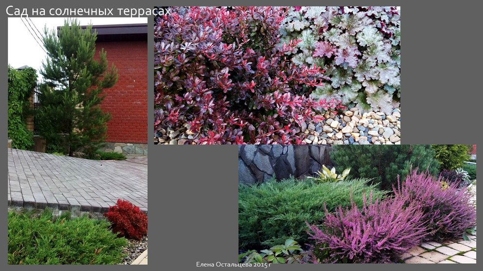 "Сад на солнечных террасах"