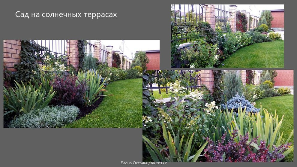 "Сад на солнечных террасах"