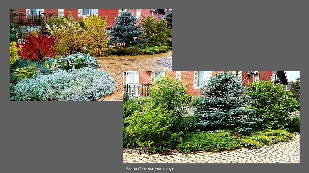 "Сад на солнечных террасах"