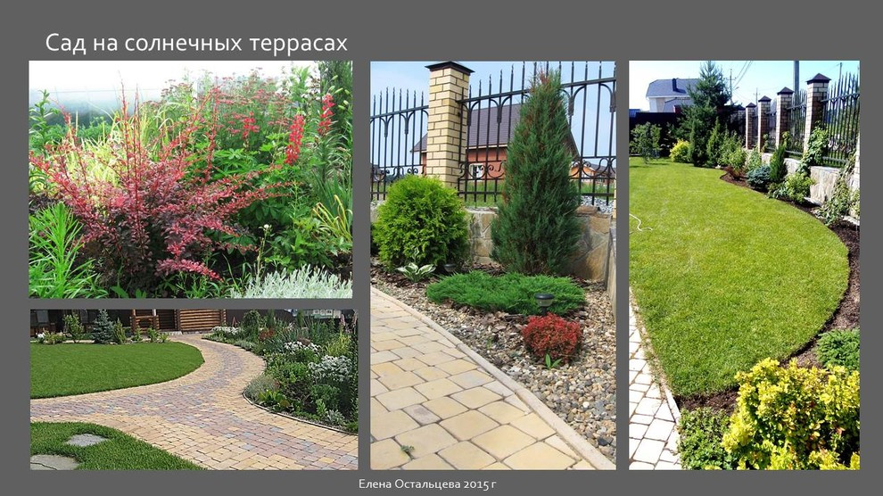 "Сад на солнечных террасах"