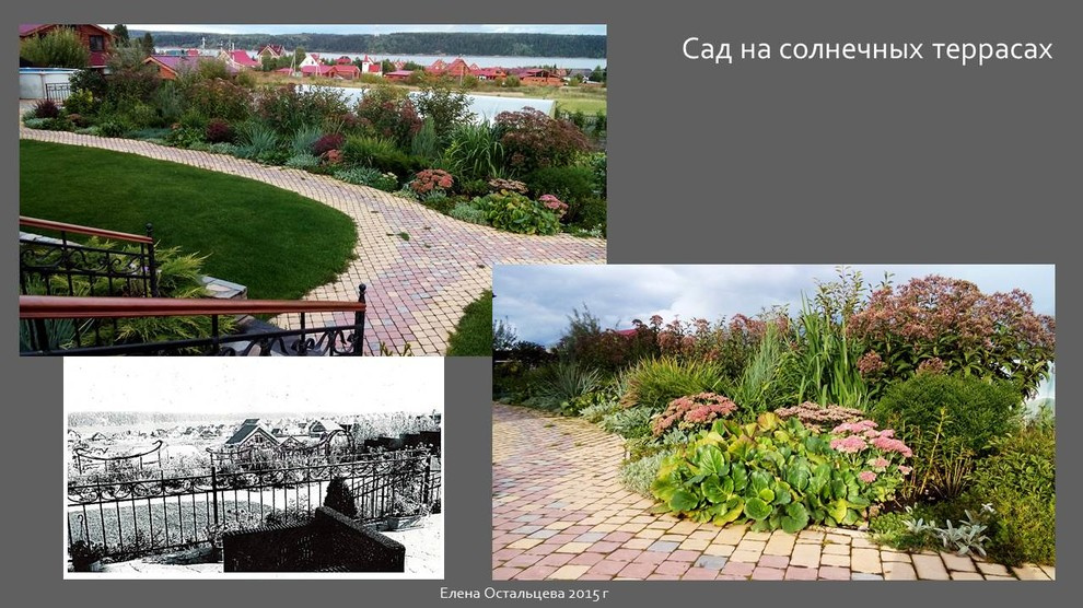 Обложка проекта: "Сад на солнечных террасах"