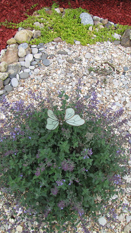Сухие ручьи