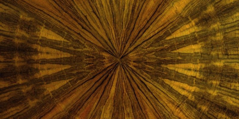 Обложка проекта: Барная стойка. Шпон имбайя.