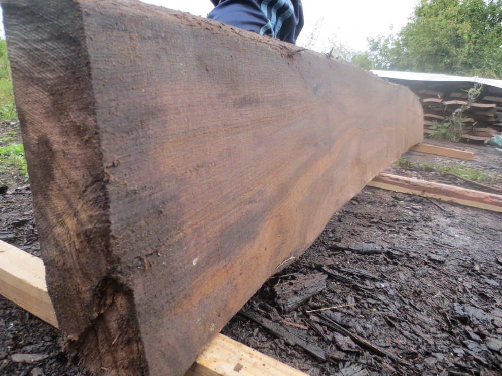 Мореный дуб bog oak