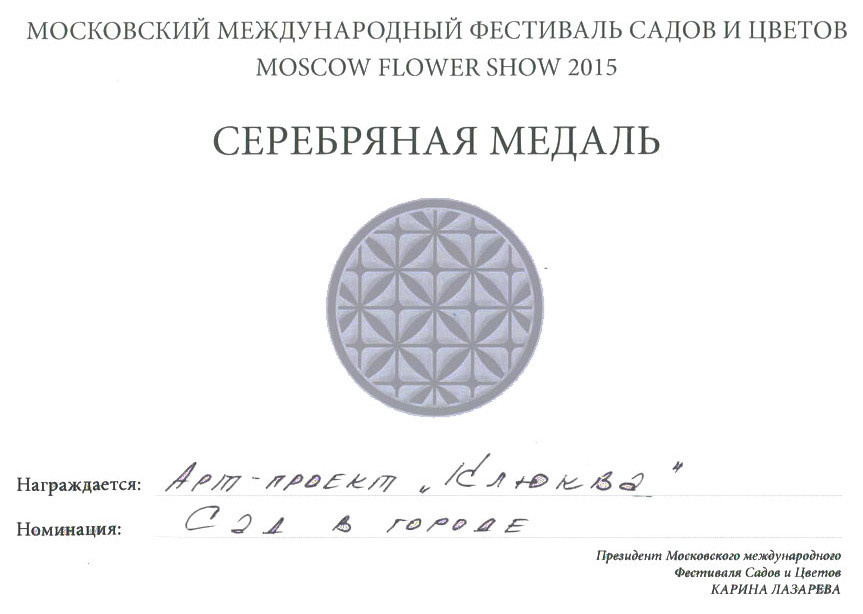 Портфолио