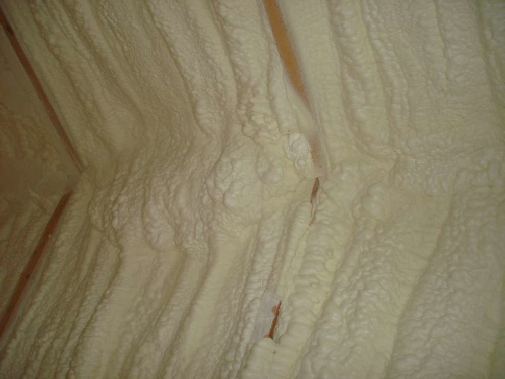 производство быстросборных котеджей с внедрением иновационных биотехнологий.