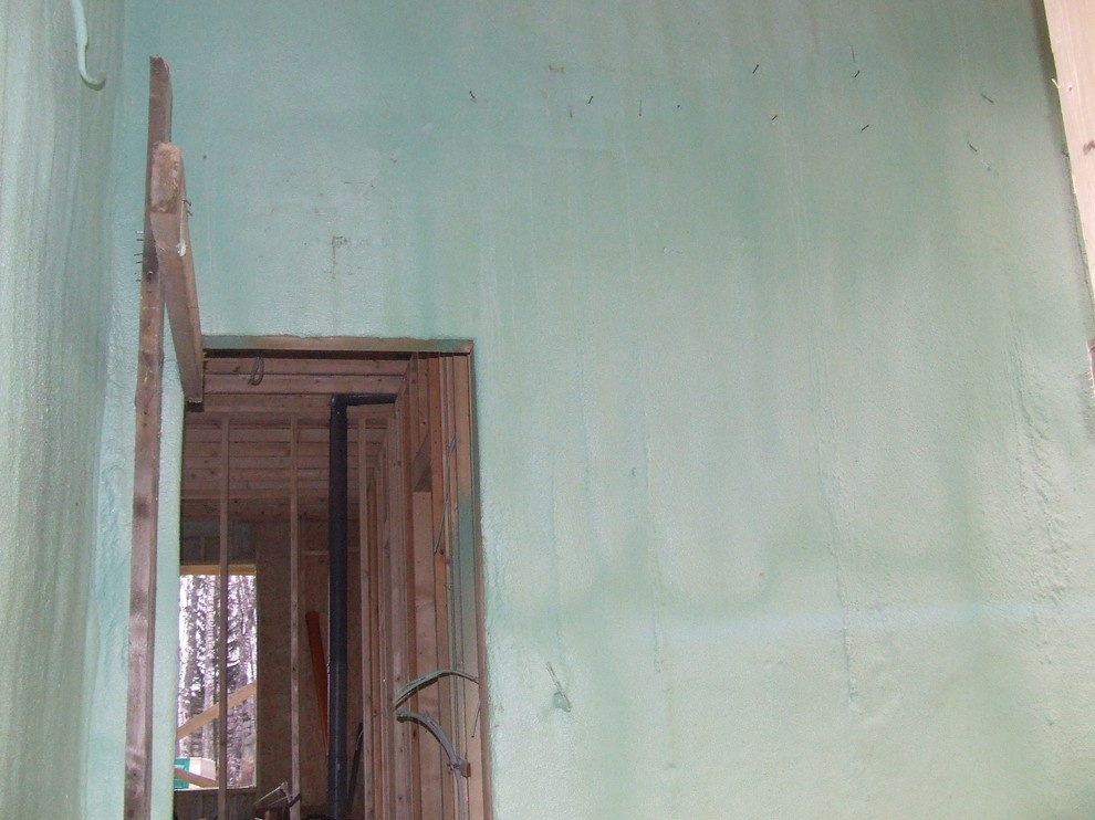 производство быстросборных котеджей с внедрением иновационных биотехнологий.