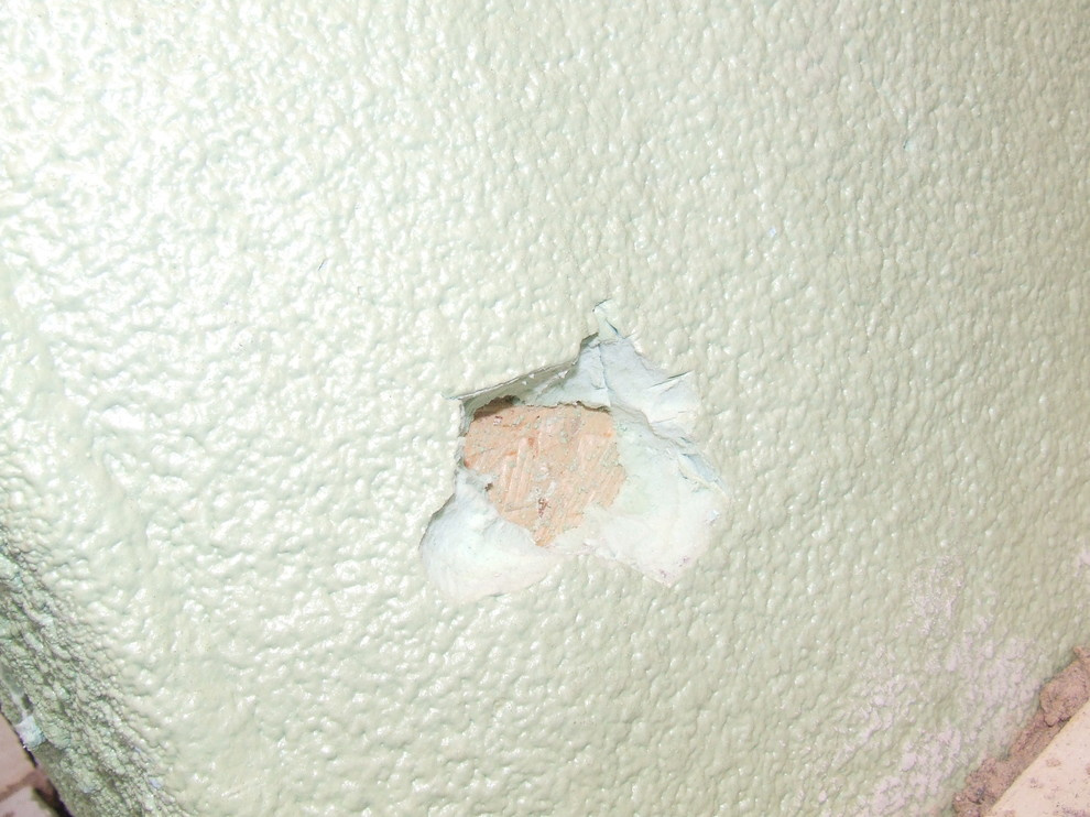 производство быстросборных котеджей с внедрением иновационных биотехнологий.