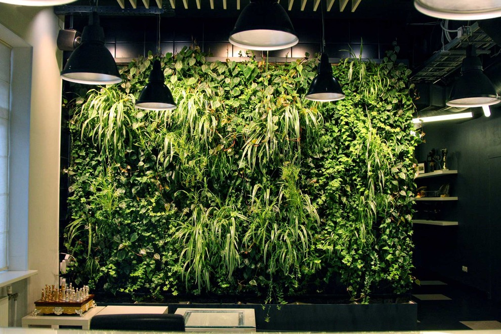 Обложка проекта: Портфолио