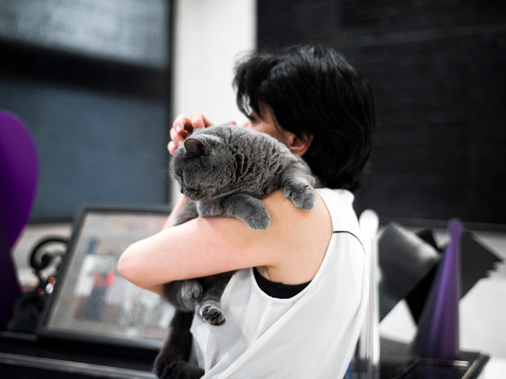 Портрет: Галерея современного и доступного искусства «Шазина»