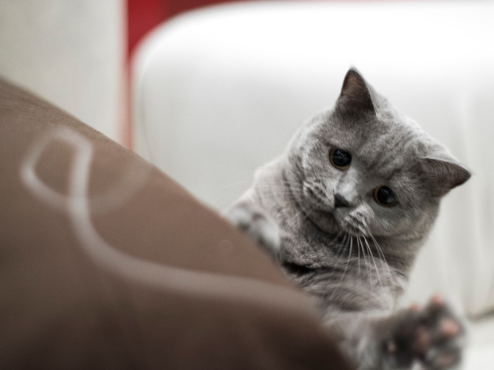 В гостях у галереи "Shazina" Gallery