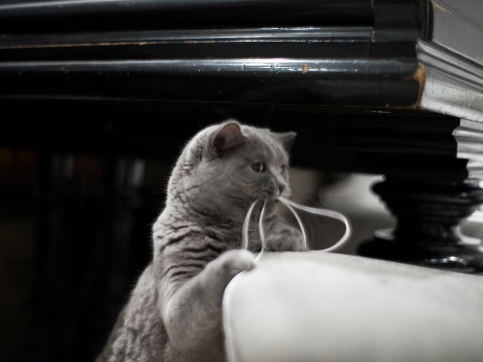 В гостях у галереи "Shazina" Gallery