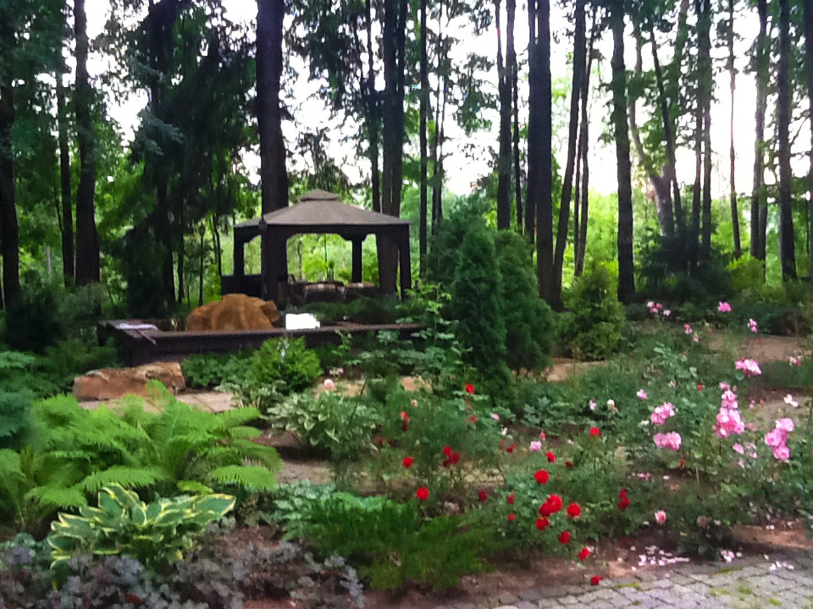 Ландшафтный дизайн лесного участка - розарий у дома.