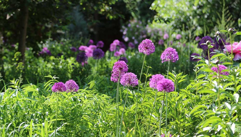 "Садовый абстракционизм"