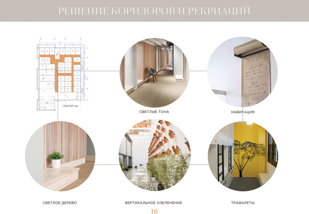 Проектное предложение. "Резидент-Хостел" наукоград Дубна