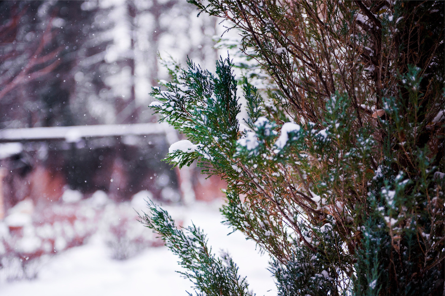 В гостях у архитектора  Михаила Филиппова