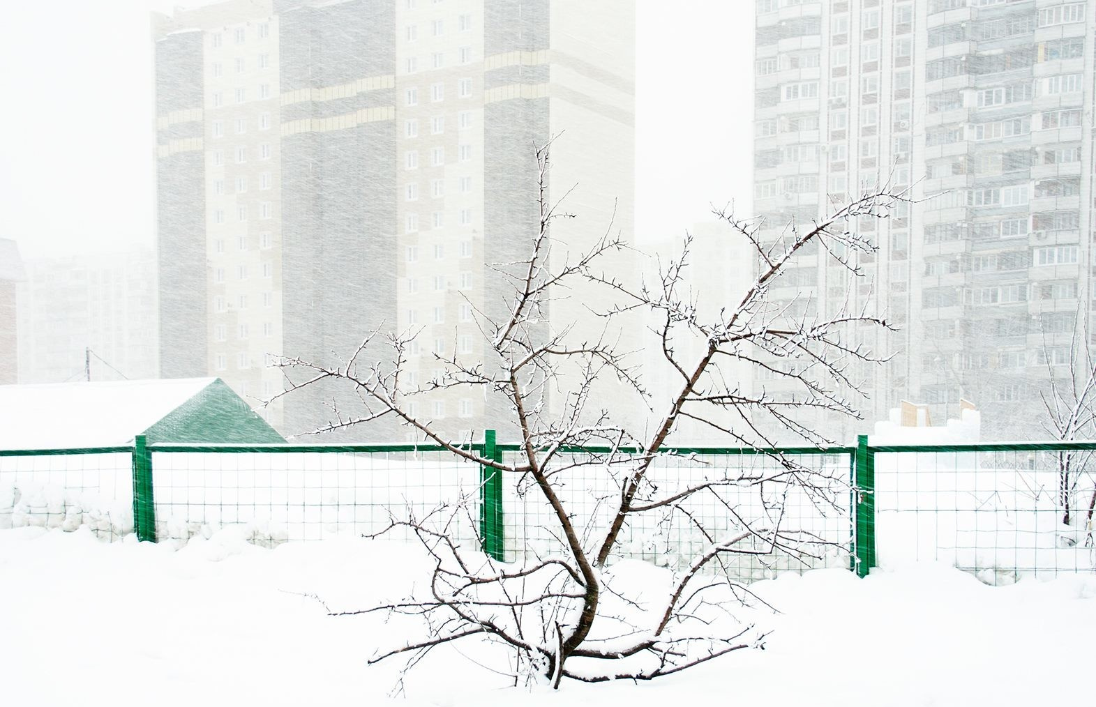 Москва Царицыно 2015