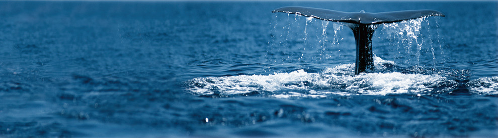 Ванные комнаты