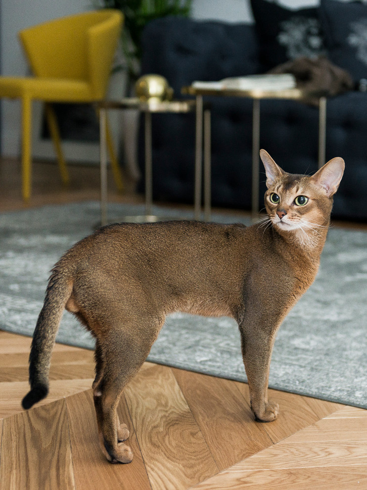 Квартира на Чистых прудах в эклектичной стилистике