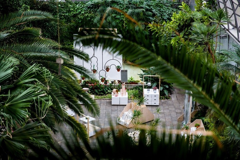 Обложка проекта: Naturalist