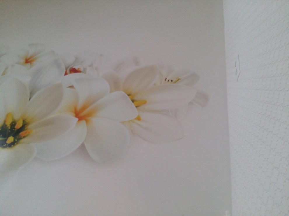 Полимерный пол в квартире.