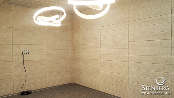 Завод Wilo в Ногинске. Головной офис. Конференц зал/ переговорная.