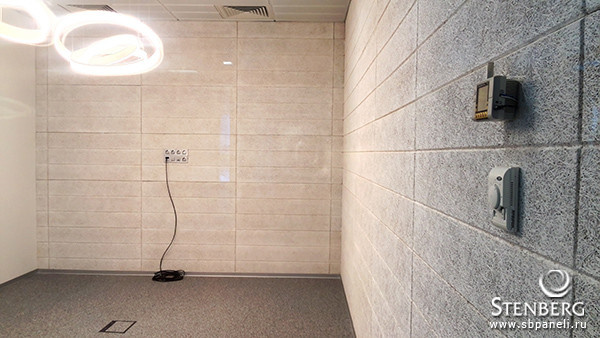 Завод Wilo в Ногинске. Головной офис. Конференц зал/ переговорная.