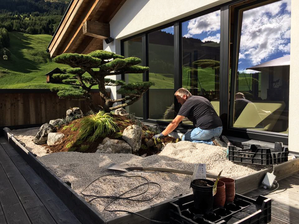Stone setting with bonsai and moss