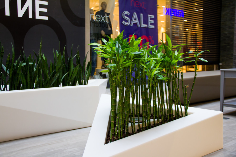 Обложка проекта: Мега Молл 2016