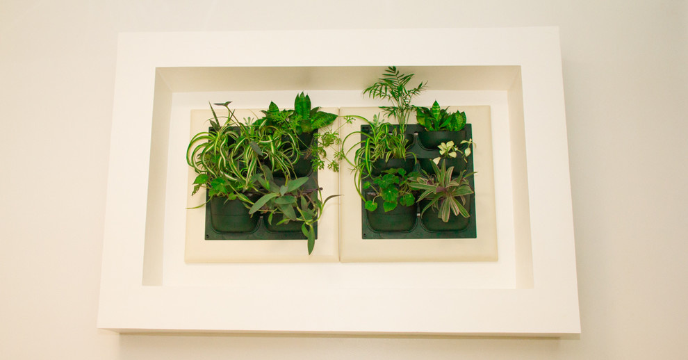 Обложка проекта: Мега офис