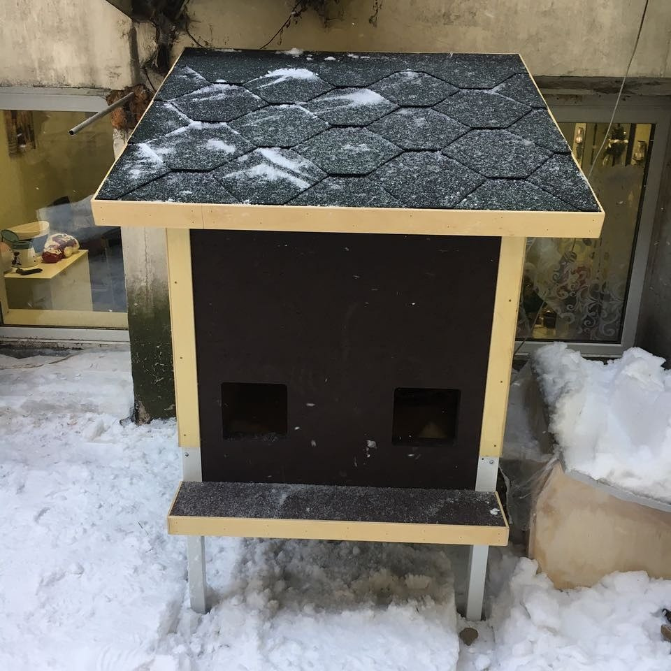 Catissa благотворительный проект уличного дома